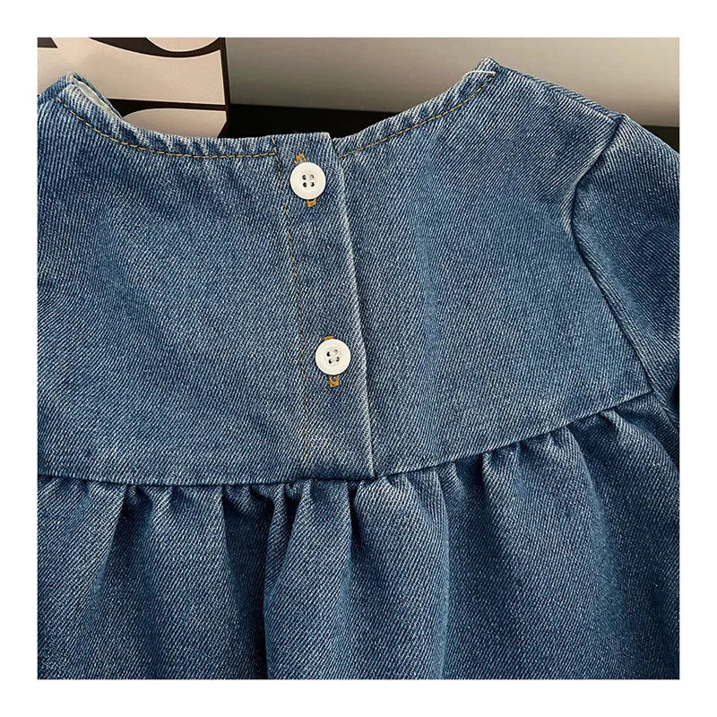 Kids Clothing Spring And Autumnr Round Neck Floral Embroidered Long Sleeve Denim dress Girls Dress Princess Dress