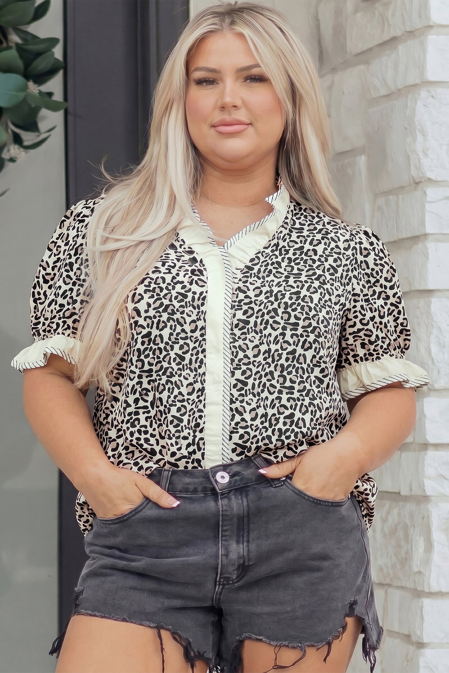 Black Plus Leopard Print Striped Color Block Trim Frilled V Neck Short Sleeve Blouse