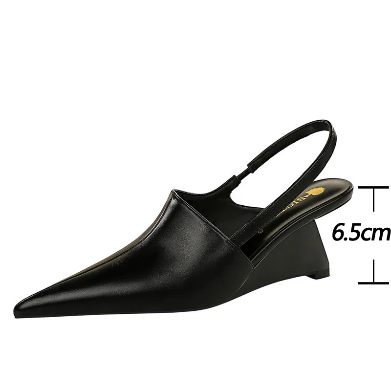 New Designer Pointed Toe Wedge Heel Shoe.