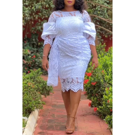 Plus Size Women's Round Neck Lace Mid-length Fashion Dress