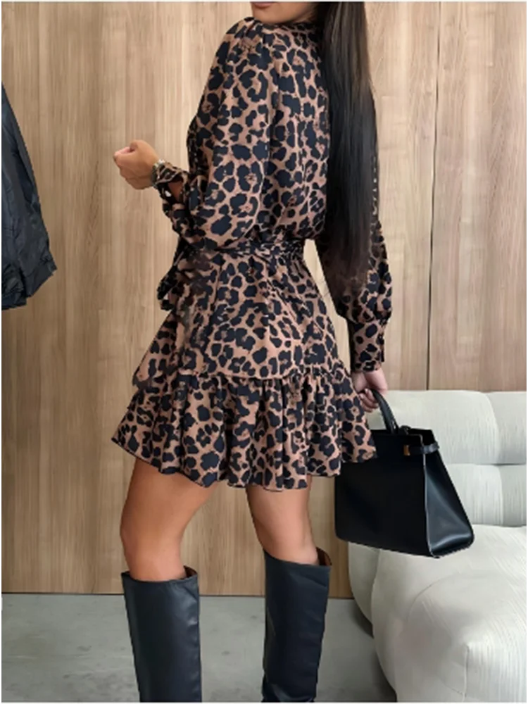 Women's Leopard Print V-Neck Long Sleeved Sexy Elegant Mini Dress.  S-xxL
