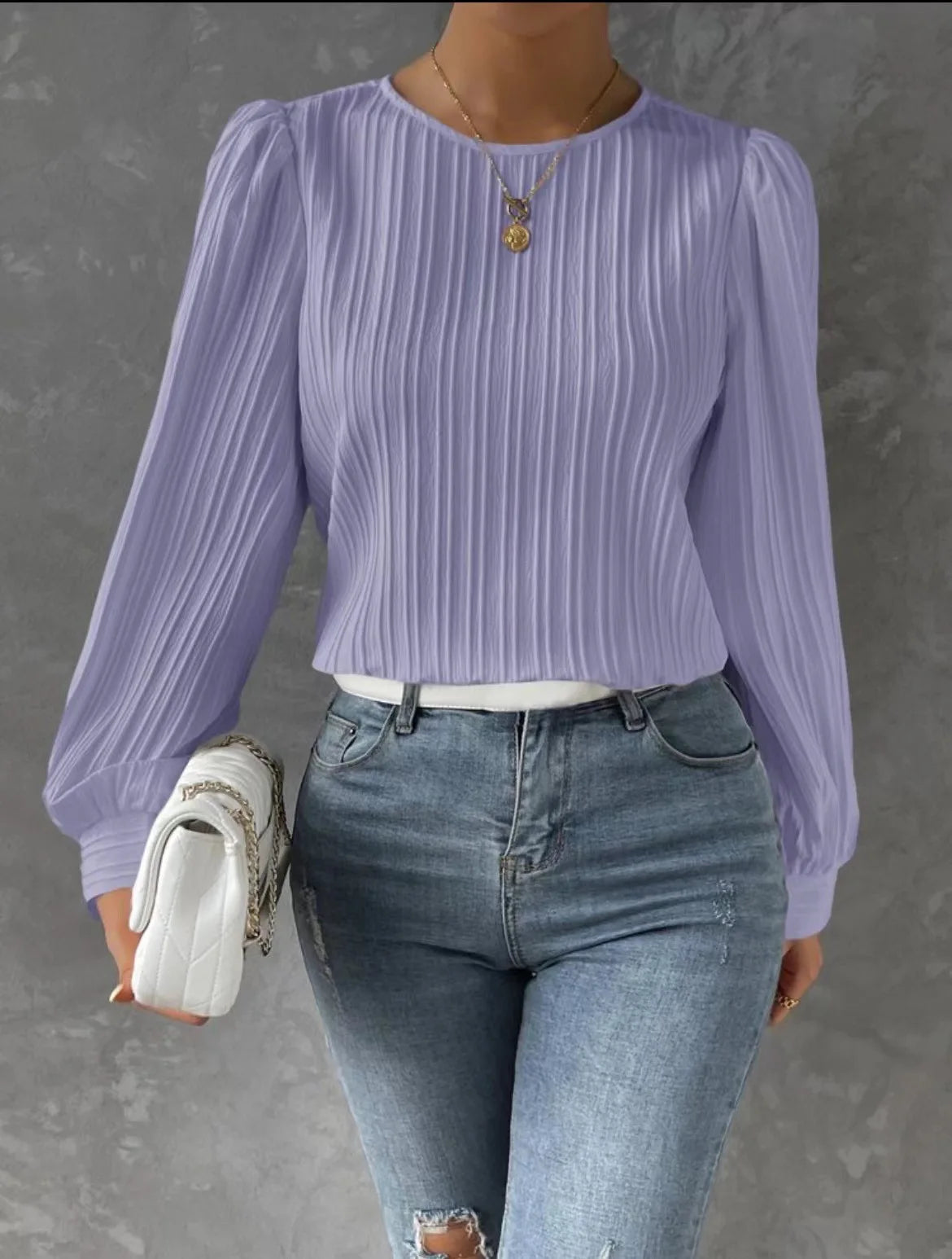 Women's Casual  Solid Round Neck Long Sleeve Blouse .