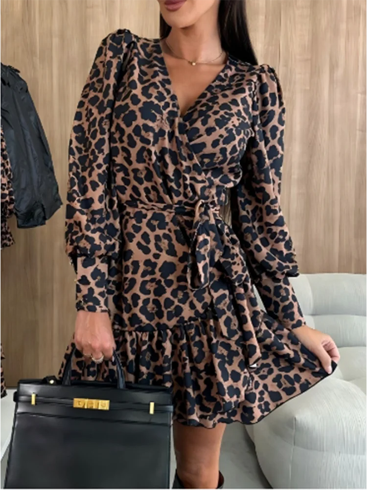 Women's Leopard Print V-Neck Long Sleeved Sexy Elegant Mini Dress.  S-xxL
