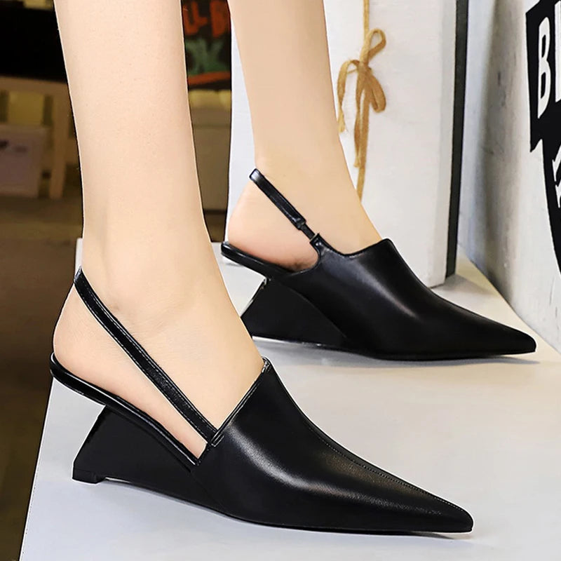 New Designer Pointed Toe Wedge Heel Shoe.