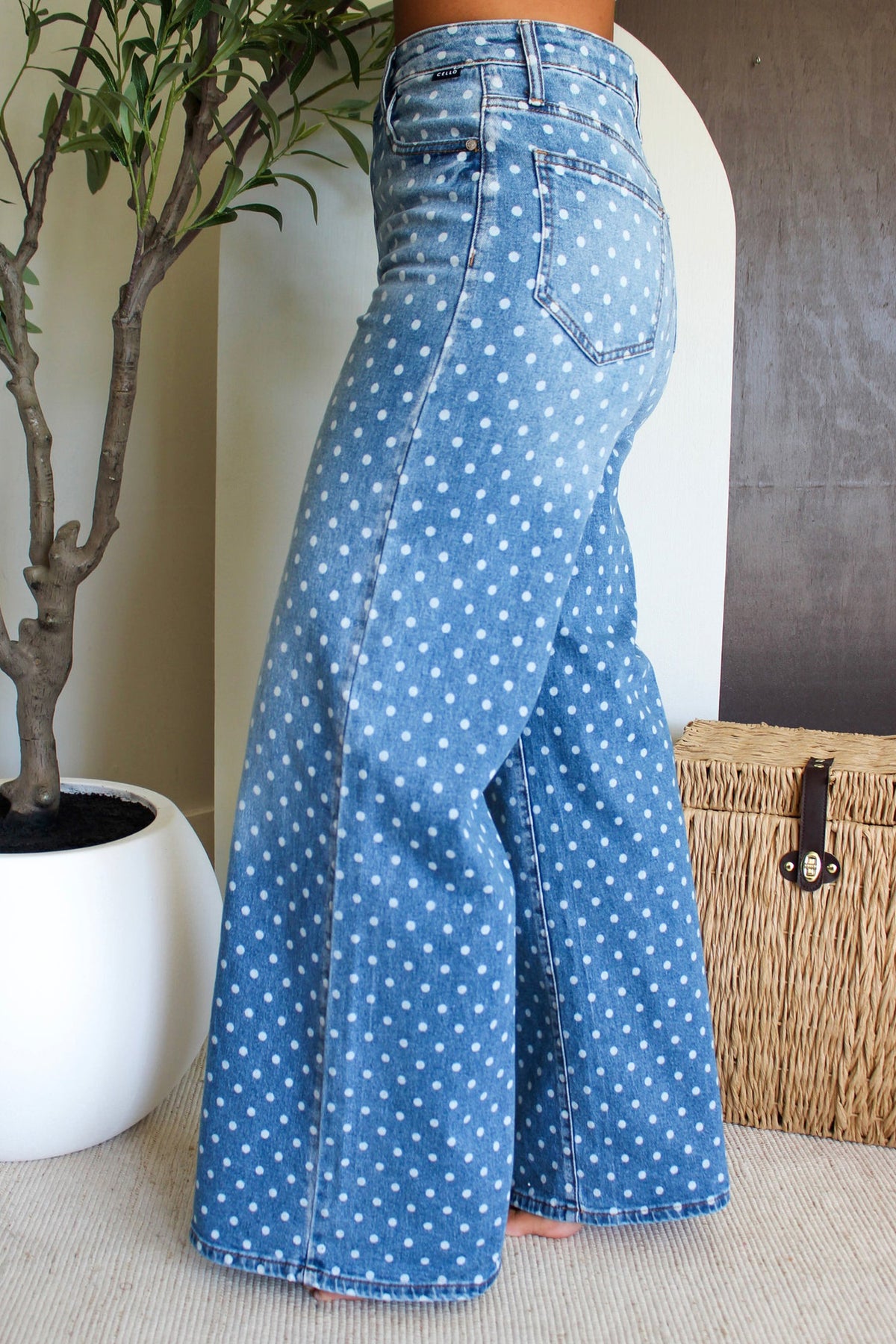 Women's Polka Dot Jeans 4 to 16